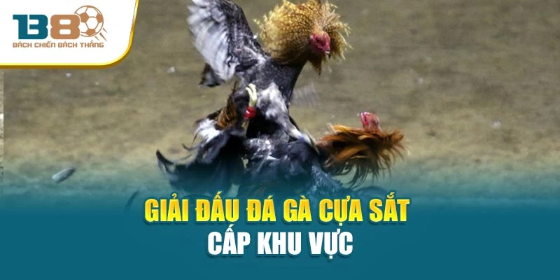 Giải đấu đá gà cựa sắt cấp khu vực