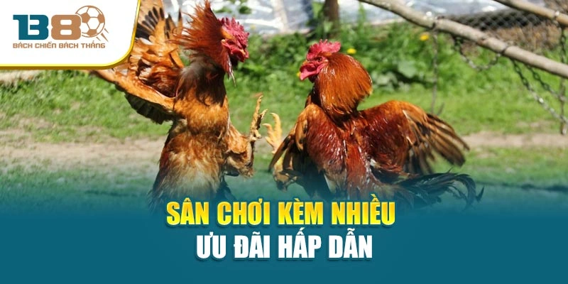 Sân chơi kèm nhiều ưu đãi hấp dẫn